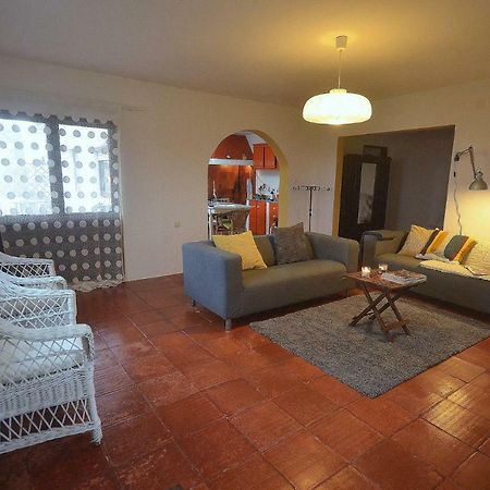 Happy Cat House - Holiday Rental Сан-Мартинью-ду-Порту Экстерьер фото