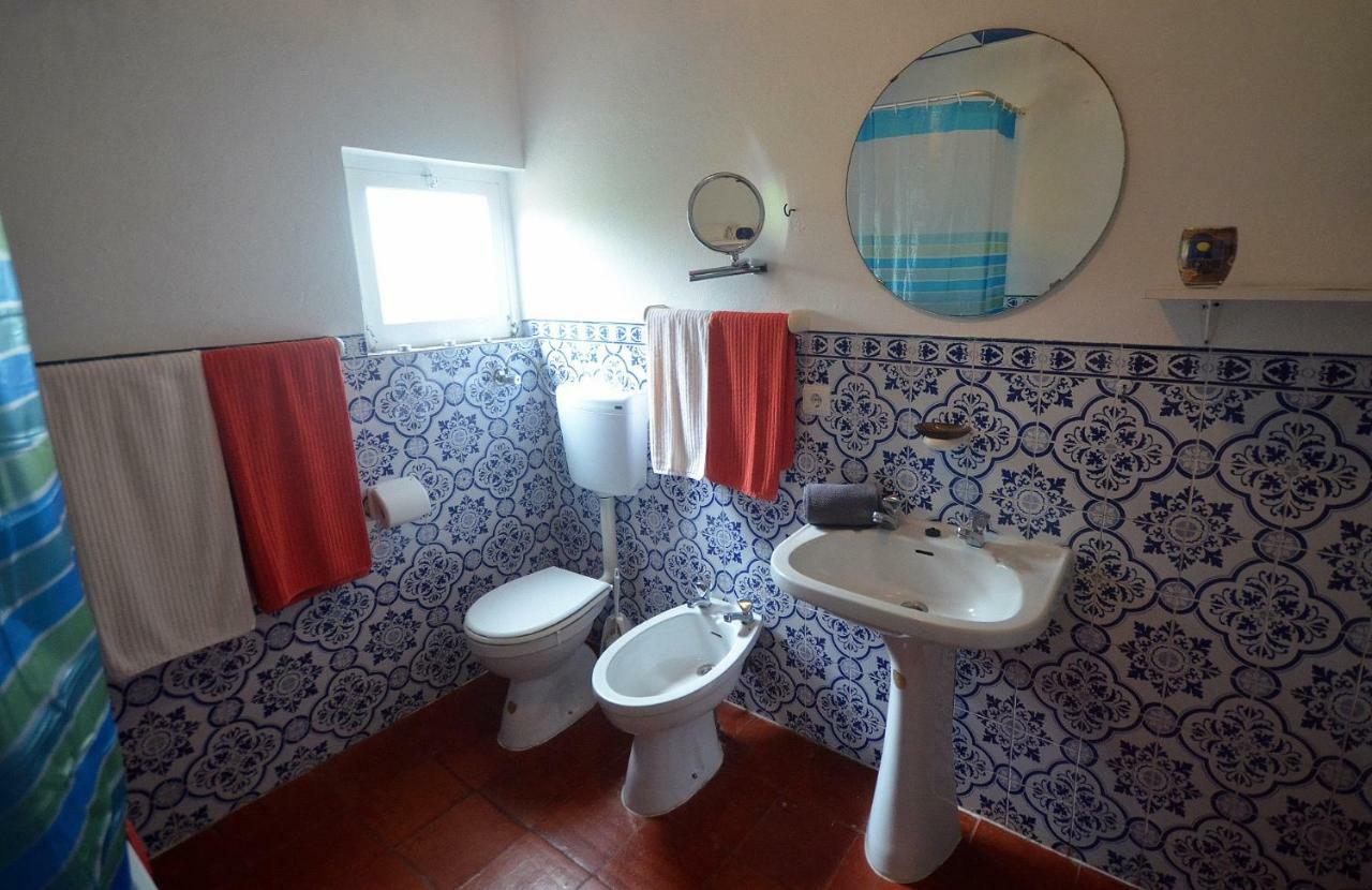Happy Cat House - Holiday Rental Сан-Мартинью-ду-Порту Экстерьер фото