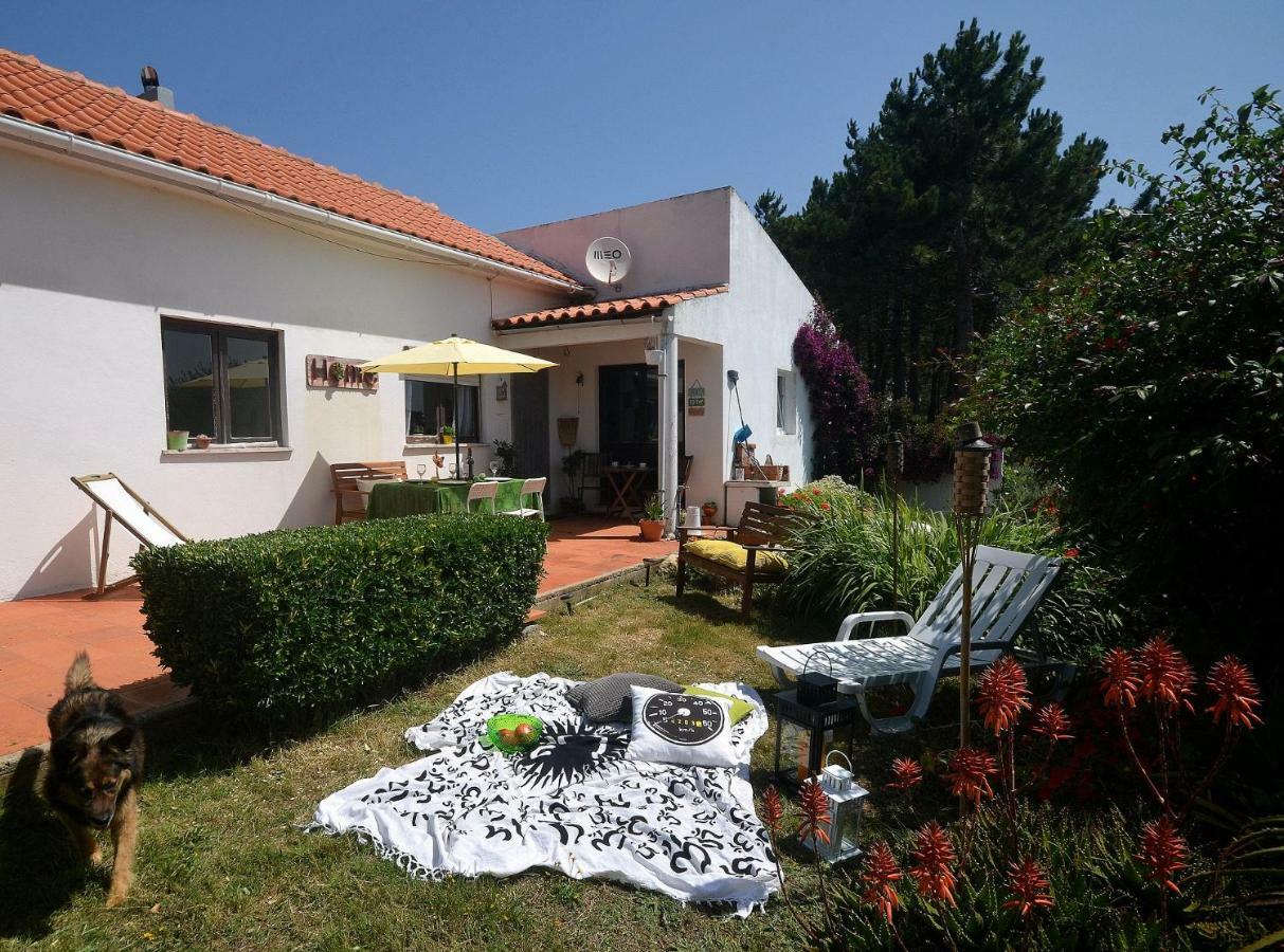 Happy Cat House - Holiday Rental Сан-Мартинью-ду-Порту Экстерьер фото