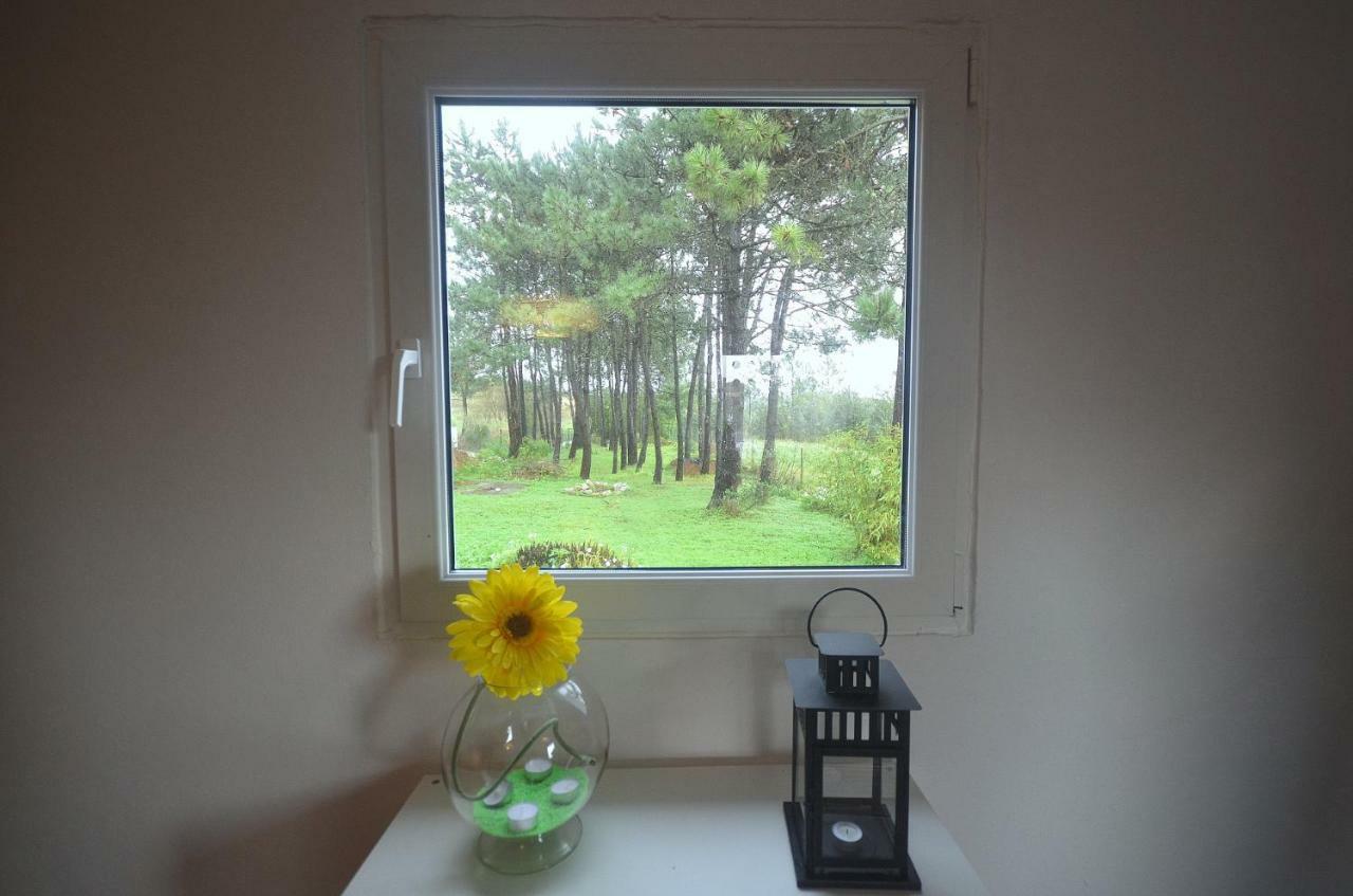 Happy Cat House - Holiday Rental Сан-Мартинью-ду-Порту Экстерьер фото